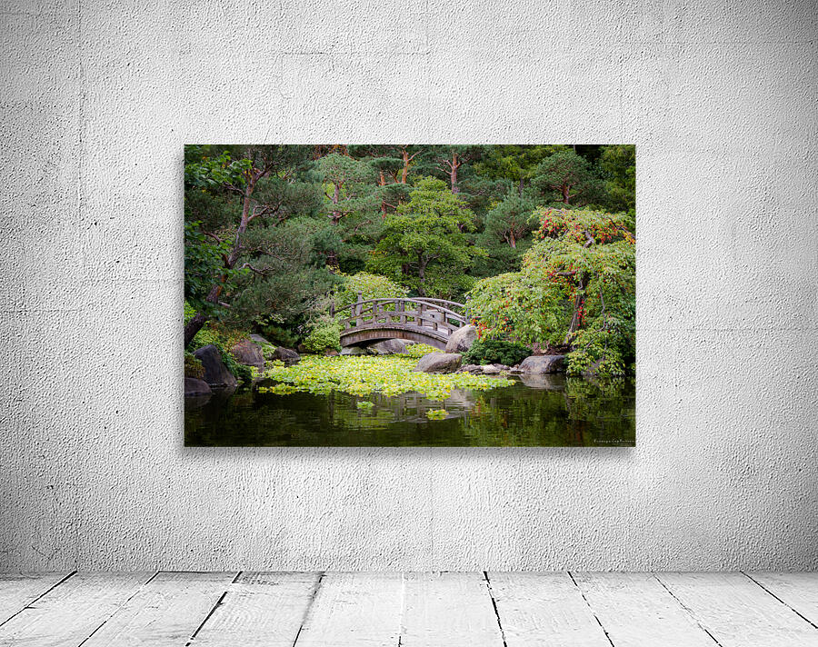 Peaceful Crossings Wall Preview