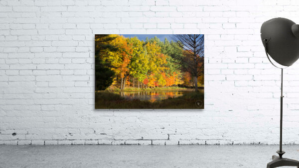 Fall in North Woods Wall Preview