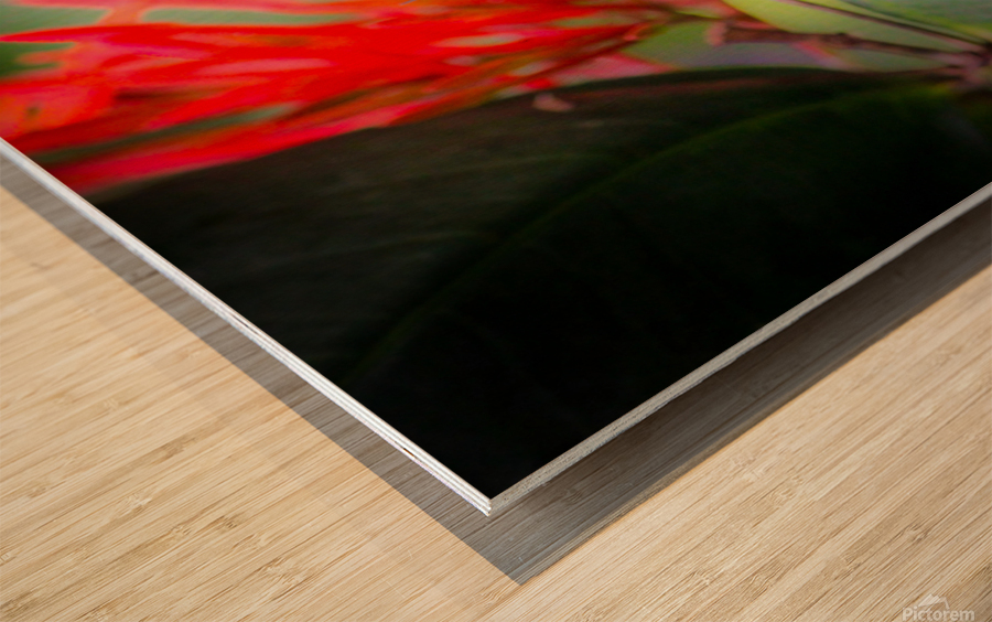 Paper Kite Dreams Wood print