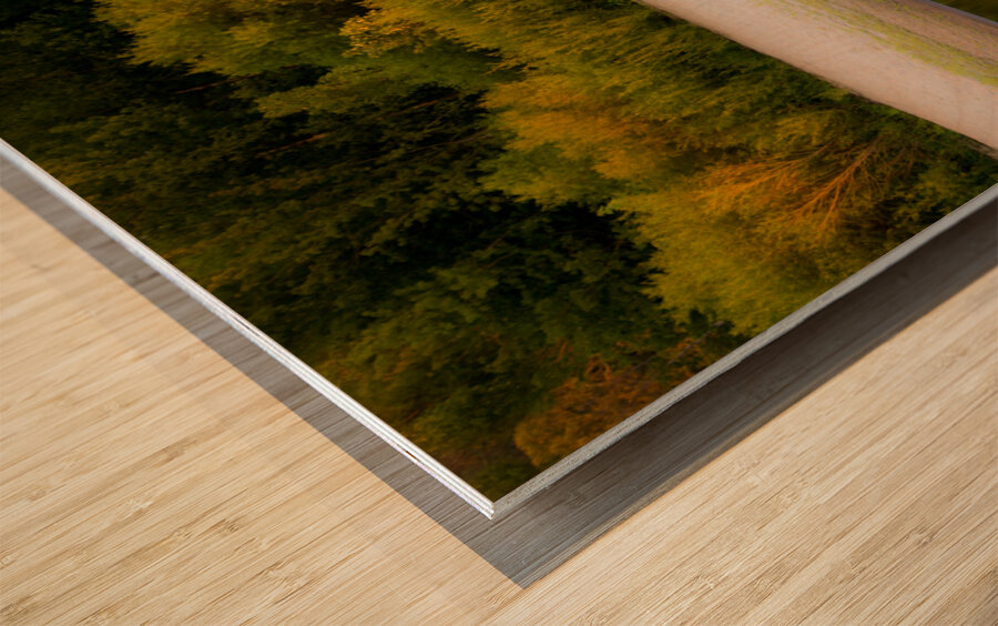 Sunset Reflections Wood print