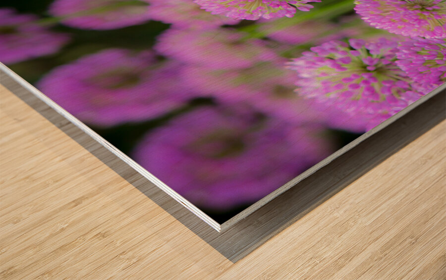 Serendipity Wood print