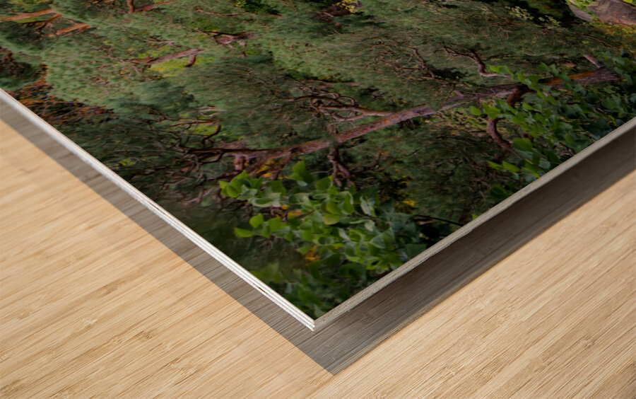 Peaceful Crossings Wood print