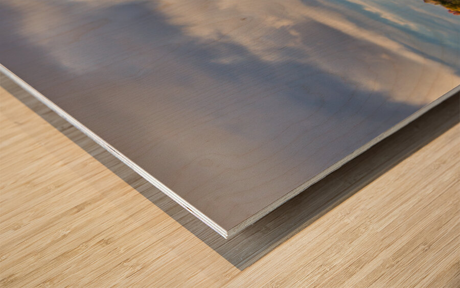 Fall on the Horizon Wood print