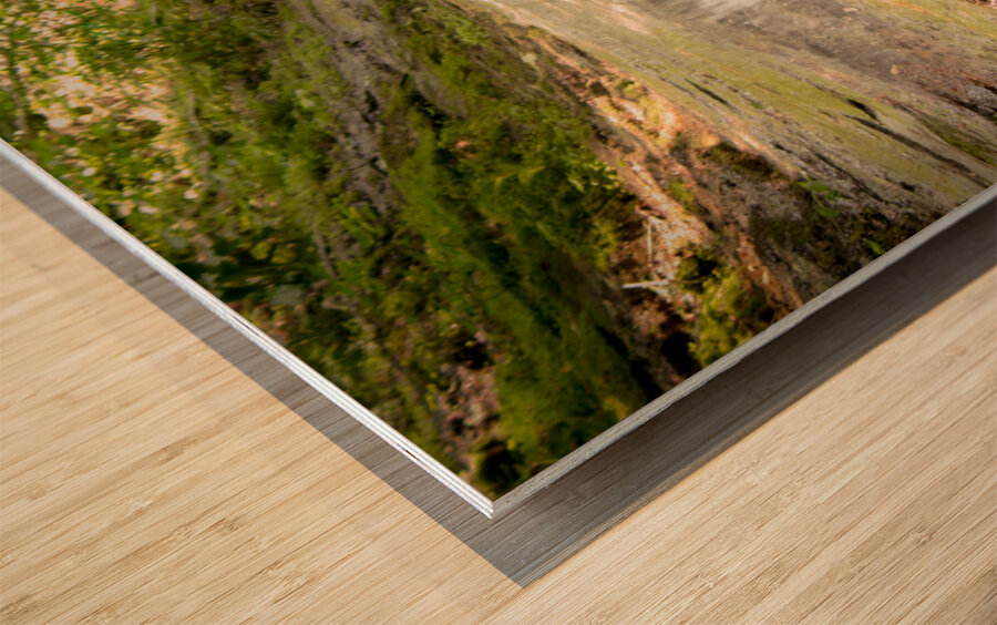 Parfrey s Glen Waterfall Wood print