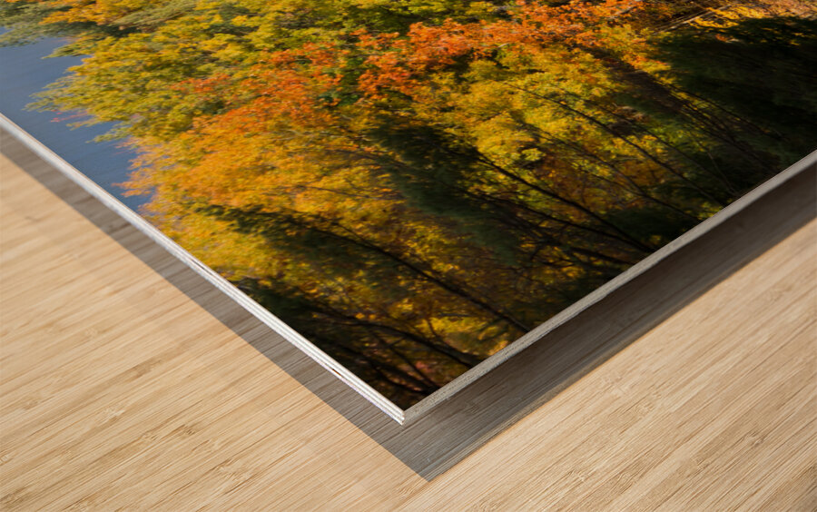 Fall in North Woods Wood print