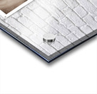 Hidden Away Acrylic print