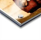 A Nap in the Sun Acrylic print