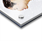 No Mirror Acrylic print