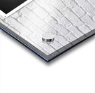 From the Back Acrylic print