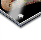 Unfinished Ink Acrylic print