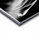 A Beautiful Back Acrylic print