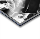 Hidden by Design Acrylic print