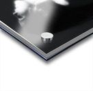 Nude in Morning Light Acrylic print