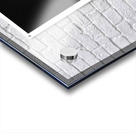 Rising Moon Acrylic print