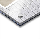 Shaded Figure Acrylic print