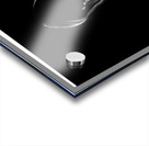 Demure Acrylic print