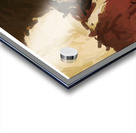 Warmth of a Summer Sun Acrylic print