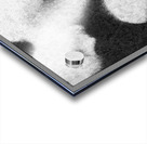 WomanOnPaper Acrylic print