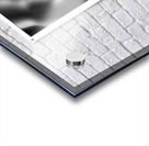 Surrender Acrylic print