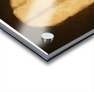 Silhouette Acrylic print