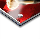 Lola Dances Right Acrylic print