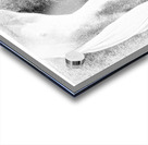 Rising from Water Acrylic print