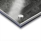 When Trees Give Up Their Secrets Pt. 1 Acrylic print