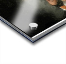 A Brief Repose Acrylic print