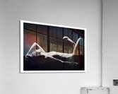 Basking Acrylic Print