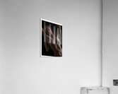 Again Please Acrylic Print