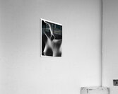 Collarbone Acrylic Print