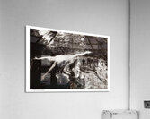 A Downstream Float Acrylic Print