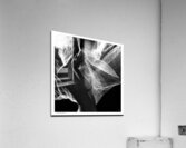 Hidden by Design Acrylic Print