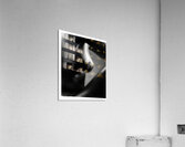 Shadow Play Acrylic Print