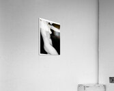 Torso46 Acrylic Print