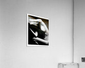 Metallic Stretch Acrylic Print