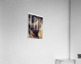 Mystery Under Wraps Acrylic Print