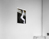 I Love Your Gaze Upon Me Acrylic Print