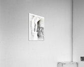 Rising from Water Acrylic Print