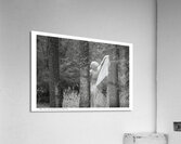 When Trees Give Up Their Secrets Pt. 2 Acrylic Print
