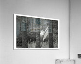 When Trees Give Up Their Secrets Pt. 1 Acrylic Print