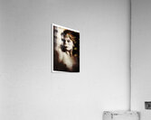 A Dreamers s Portrait Acrylic Print
