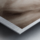 Hidden Away Metal print