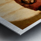 A Nap in the Sun Metal print