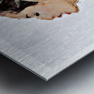 No Mirror Metal print