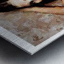 The Black Towel Metal print