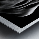 A Beautiful Back Metal print