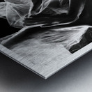 Hidden by Design Metal print