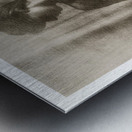 Shaded Figure Metal print