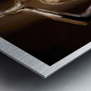 Tarnished Metal print